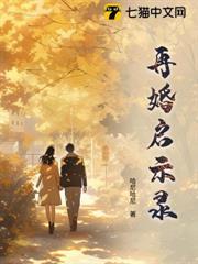 再婚电视