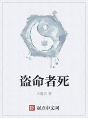 盗命兄弟 1080p  在线播放