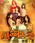 风流医圣陈风
