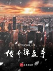 传奇操盘手免费阅读无弹窗