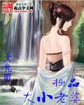 极品大小老婆系统txt电子书