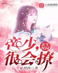 重生初中校园帝少