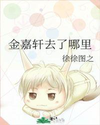 金嘉轩去了哪里by