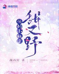 他的小祖宗甜又野作者战西野