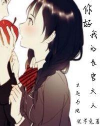 长官你好