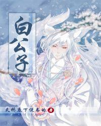 朝雪录第三个案子白公子
