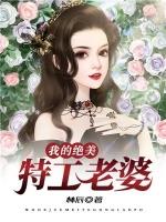 我的绝美特工老婆漫画