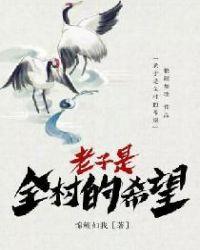 老子全村的希望