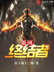 终极银河格斗2