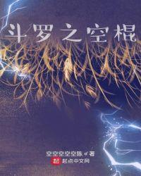斗罗之空棍百度百科