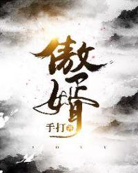 赘婿驸马爷