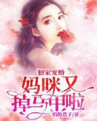 独宠妖娆妈咪妻