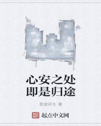 心安即是归处的上一句