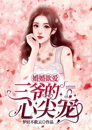婚宠之三