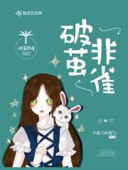lofter破茧