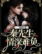 二嫁王妃不好惹秦晚瑟全文阅读