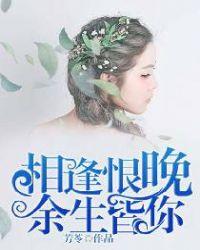 相逢恨晚免费阅读
