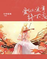 爱似流星原唱