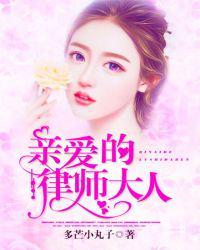 亲爱的律师大人无广告