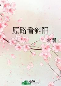 原路看斜阳评价
