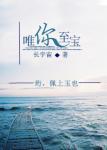 唯你至宝TXT百度