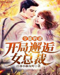 全能奶爸开局邂逅女总裁_