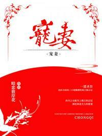 宠妻狂魔的黏人宝贝by小彻免费阅读