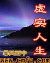 虚实人生陈默