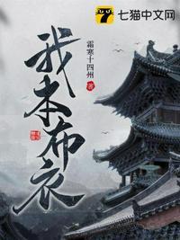我本布衣短剧免费