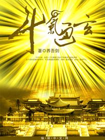 斗气秘闻