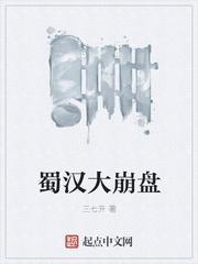 蜀汉灭亡视频