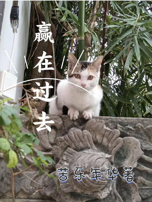 赢在当下的意思