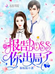 报告boss大人