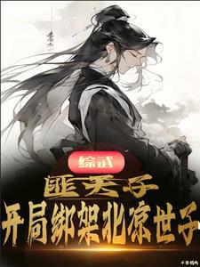 综武匪天子!开局绑架北凉世子完整版在