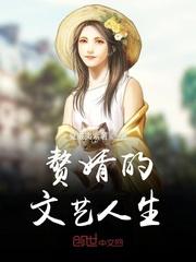 赘婿文字介绍