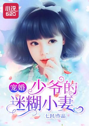 少爷的宠婢