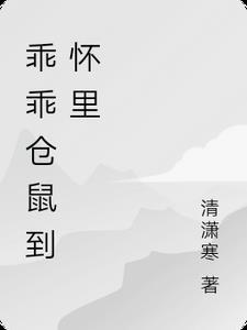 仓鼠乖不乖