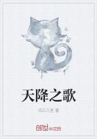 天降之物演唱会
