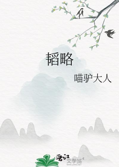 韬略元机