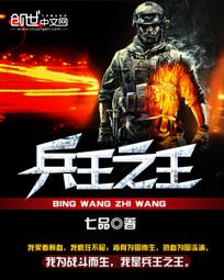 兵王之王 txt