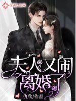夫人又再闹离婚