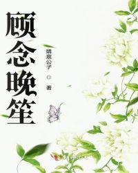顾晚许念辞