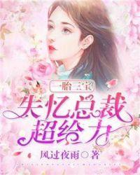 一胎三宝:失忆总裁超给力