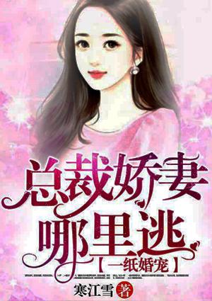 一纸婚宠:总裁娇妻哪里逃