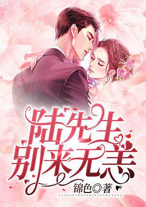 陆先生,别来无恙