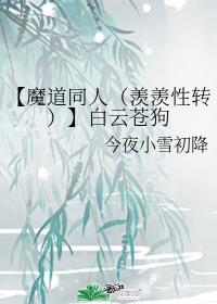 【魔道同人(羡羡性转)】白云苍狗
