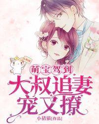 萌宝驾到:大叔追妻宠又撩