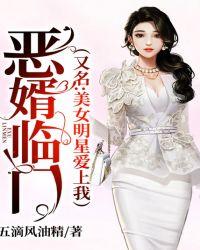 恶婿临门(又名:美女明星爱上我)
