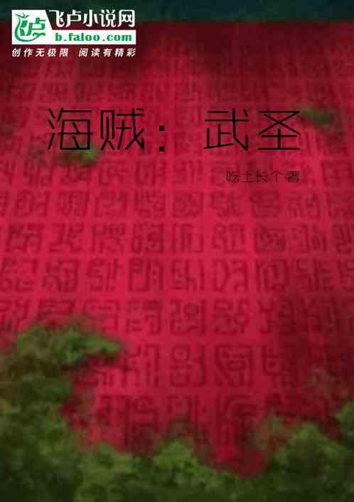 海贼:武圣