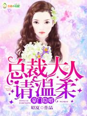 豪门隐婚:总裁大人请温柔